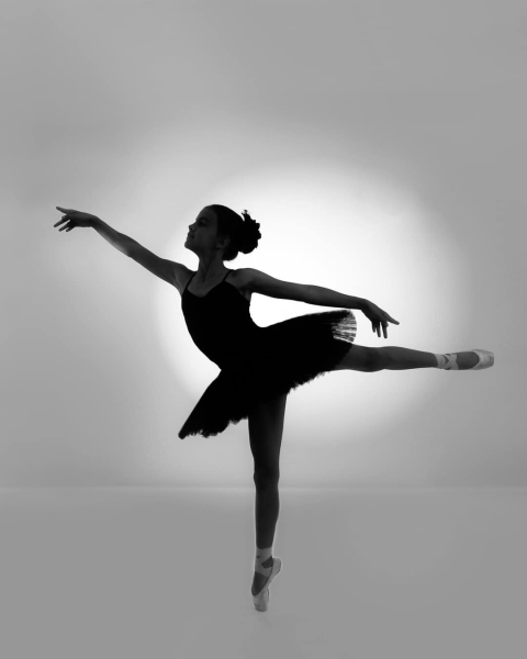 ballerina_cc_8451bw2