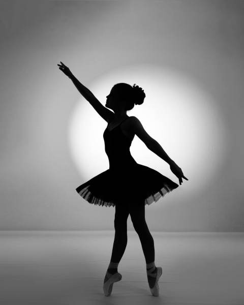 ballerina_cc_8470bw